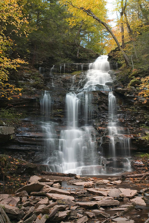 Nature Photograph - Ganoga Decorated With Gold by Gene Walls