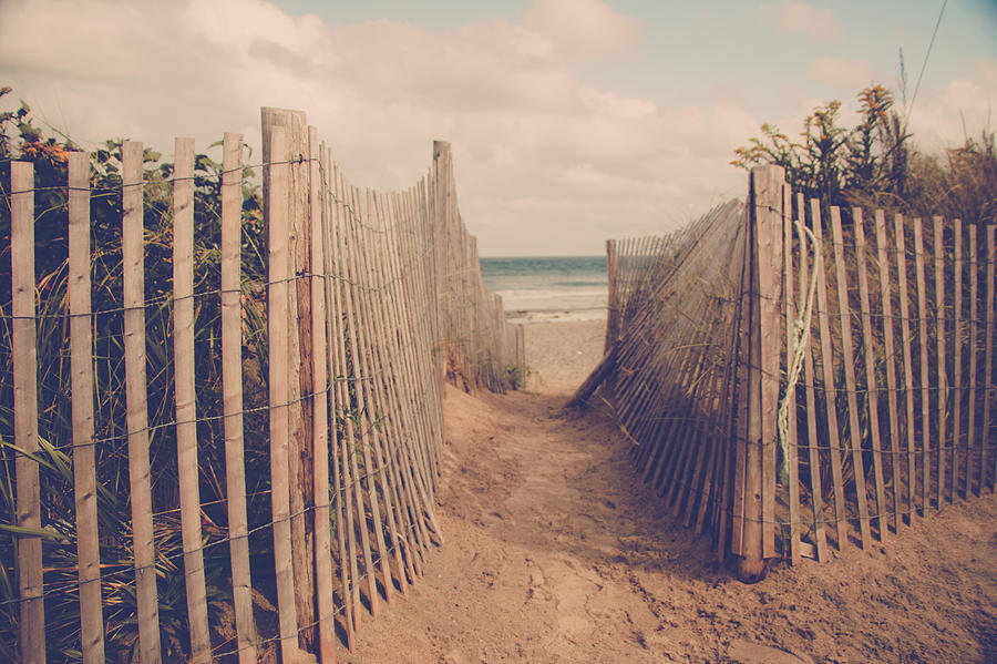 Gap In Beach Fence Leading To Ocean Photograph by Lynda Murtha