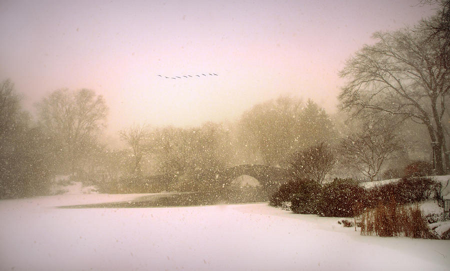 Winter Photograph - Gapstow Blizzard by Jessica Jenney