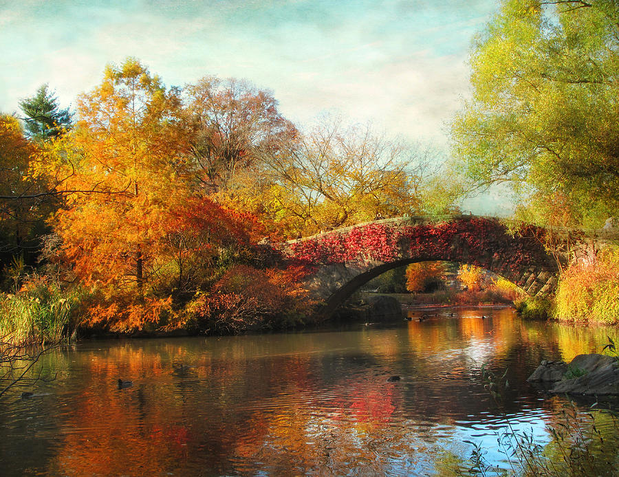 Gapstow Bridge In Autumn Photograph by Jessica Jenney