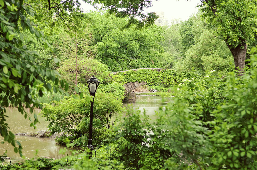 Gapstow Bridge In Central Park New York Photograph by Magnez2