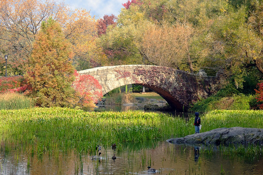 Gapstow Bridge in the Fall Photograph by Michael Dorn
