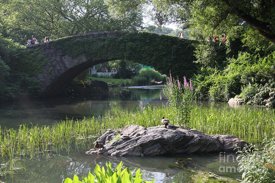 Nature Photograph - Gapstow Bridge - NYC #2 by Christiane Schulze Art And Photography