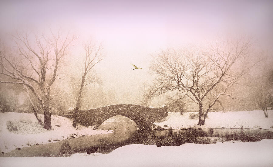 Winter Photograph - Gapstow Glow by Jessica Jenney