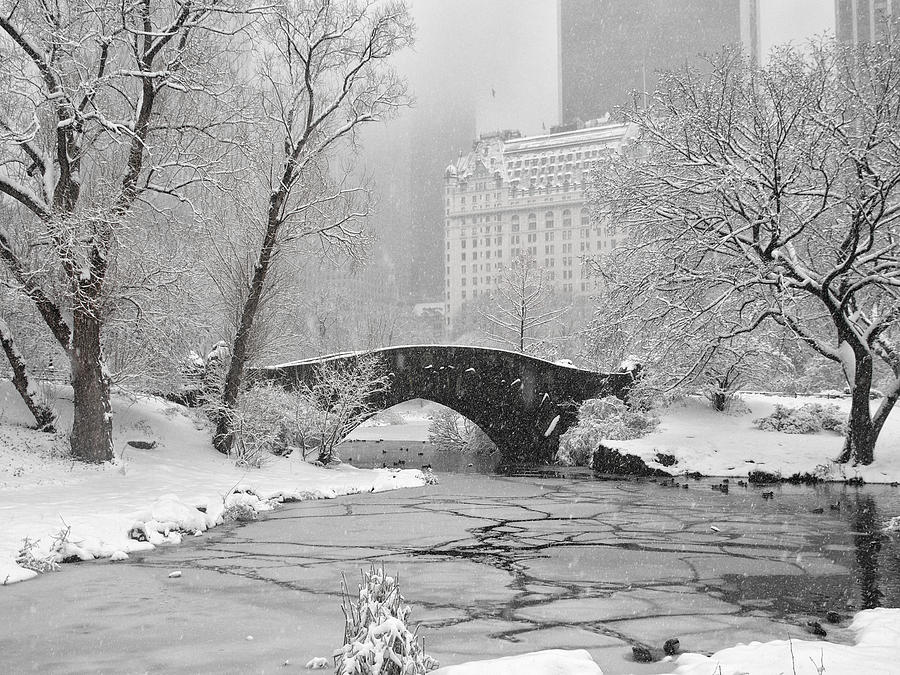 Central Park Photograph - Gapstow on Ice by Cornelis Verwaal
