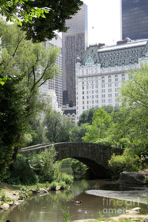 New York City Photograph - Gapstow Stone Bridge  by Christiane Schulze Art And Photography