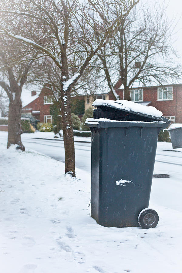 Winter Photograph - Garbage bin  by Tom Gowanlock