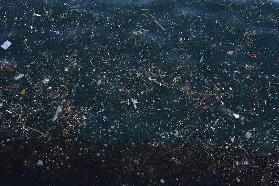 Garbage floating on the surface of sea Photograph by Sot