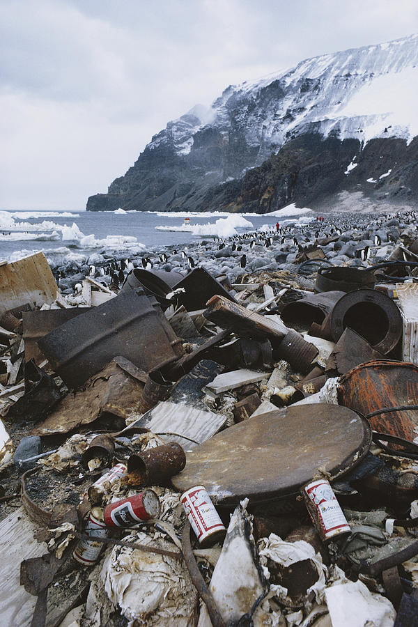 Garbage Pollution, Antarctica Photograph by George Holton