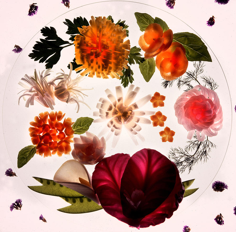 Garde Manger Photograph by Gary Bartoloni Fine Art America