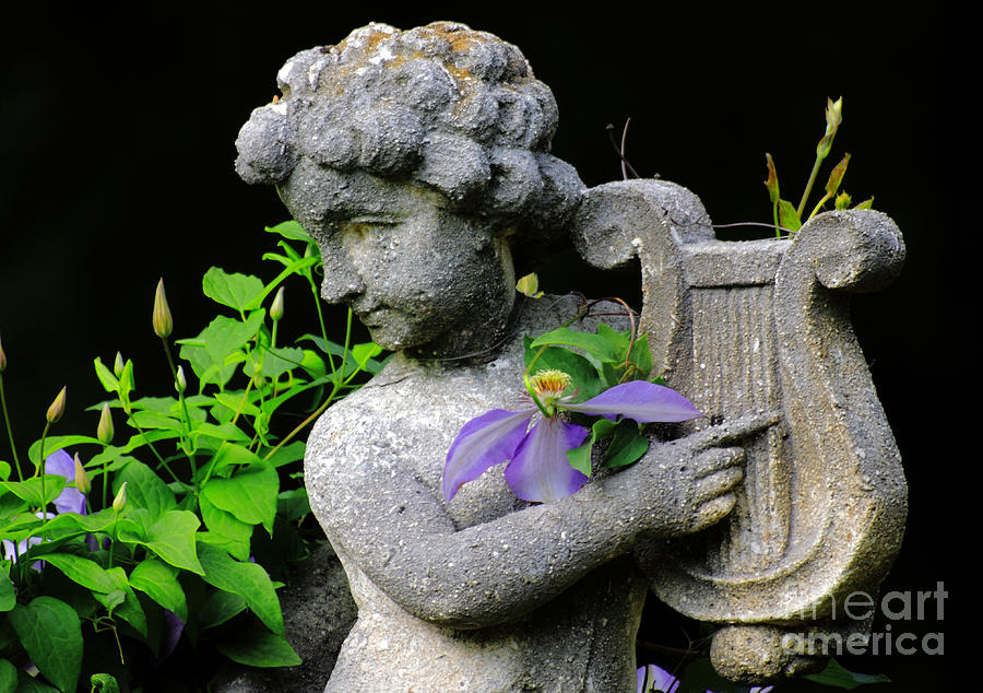 Garden Angel Photograph by Charline Xia