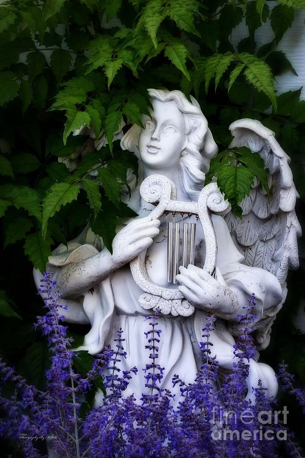 Garden Angel Photograph by Ms Judi