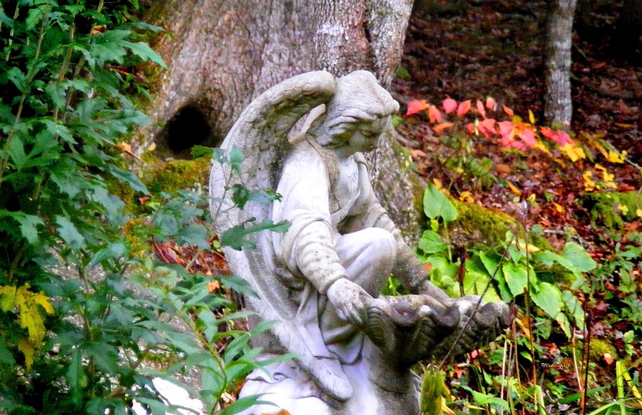 Garden Angel Statue Photograph by Duane McCullough