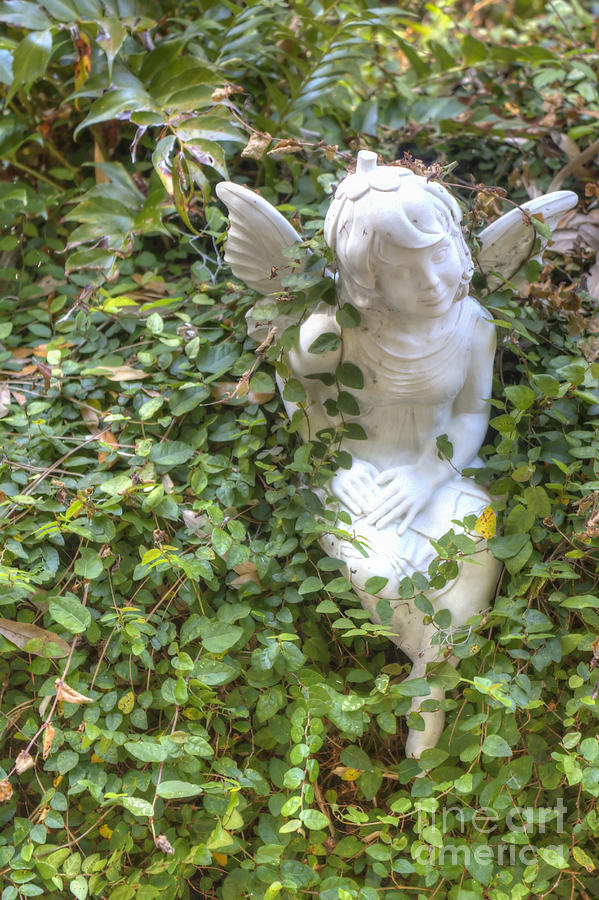 Garden Angel Photograph by Ules Barnwell