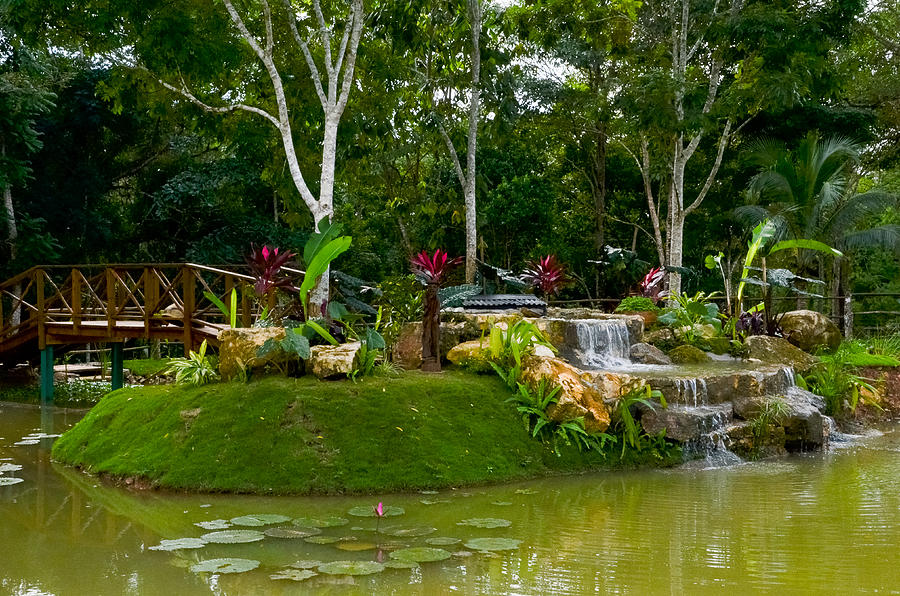 Garden at Good Hope Jamaica Photograph by RobLew Photography