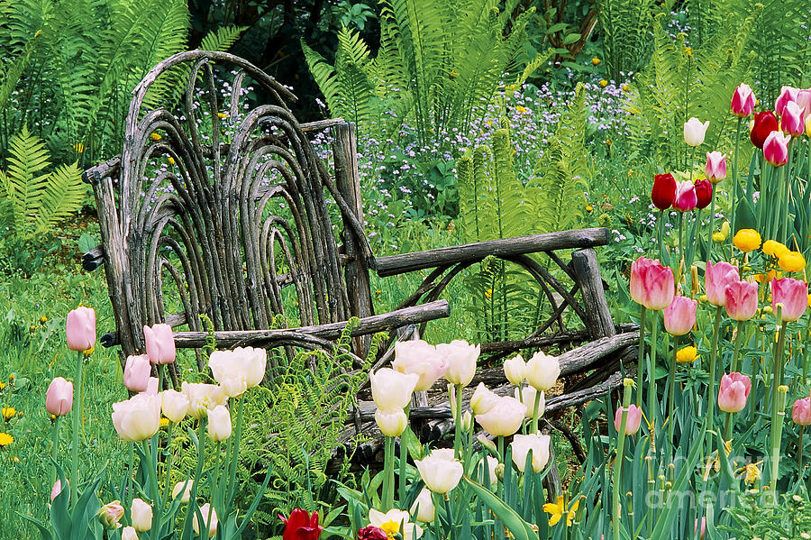 Garden Bench Photograph by Alan L Graham