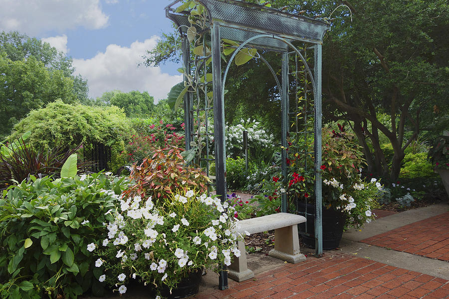 Garden Bench Photograph by Ann Powell
