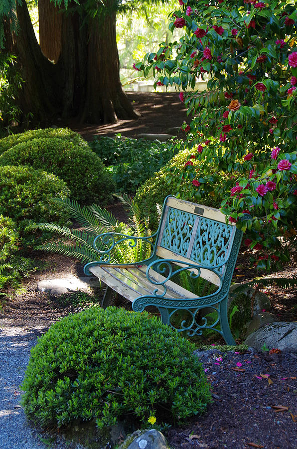 Garden Bench at Hatley Park Gardens Photograph by Marilyn Wilson