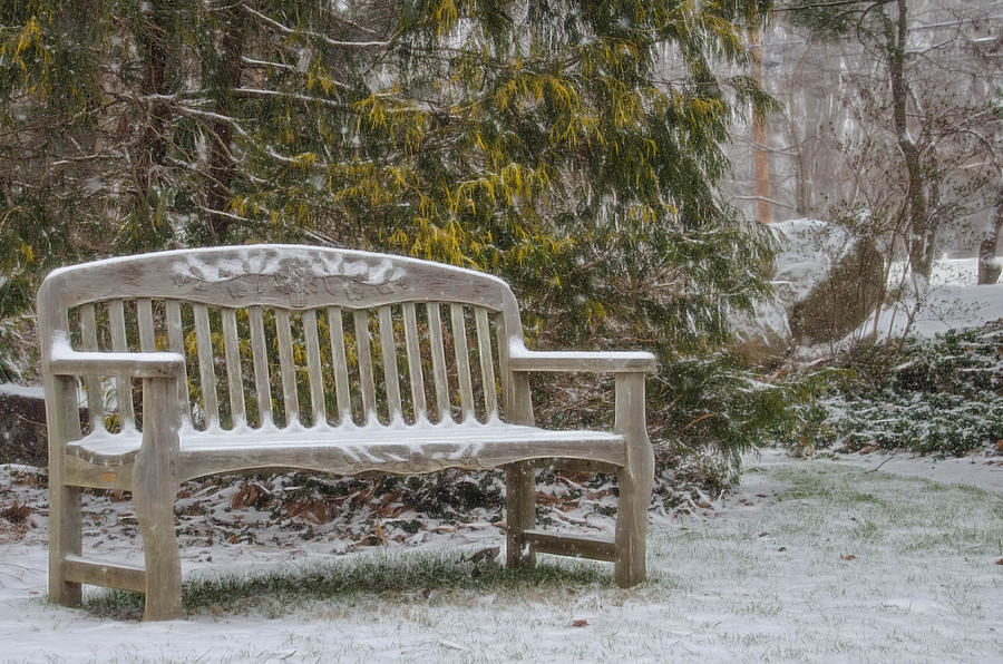 Garden Bench During Winter Snowfall at Sayen Gardens Photograph by Beth Venner