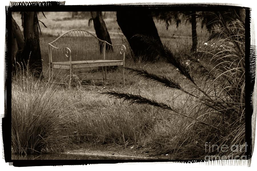 Garden bench Photograph by Fran Woods