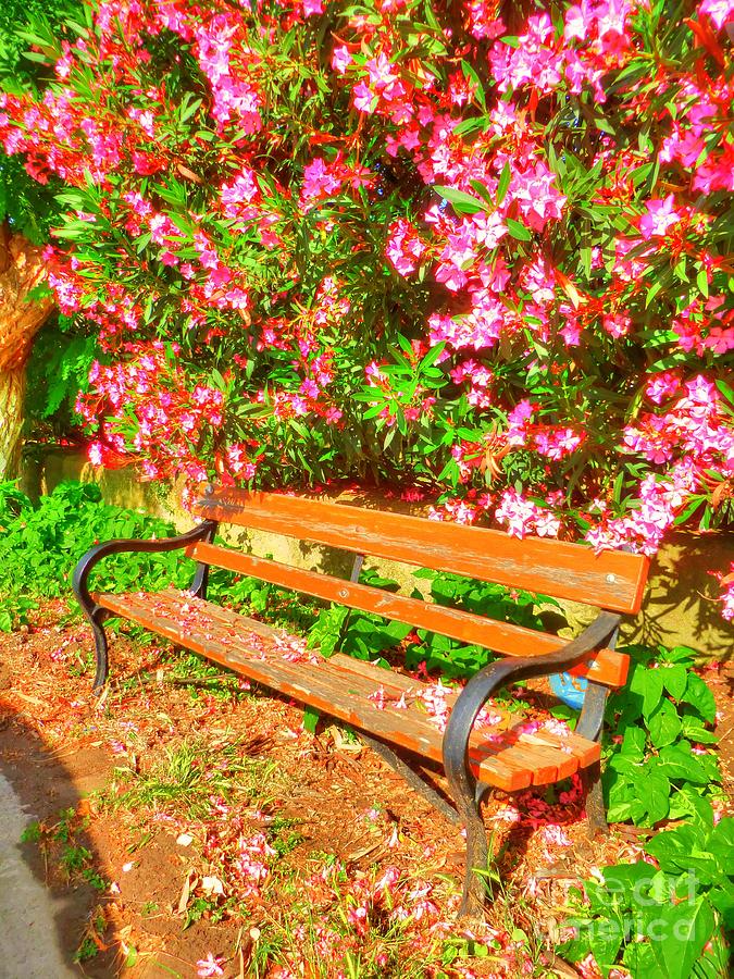 Flower Photograph - Garden Bench by Vicki Spindler