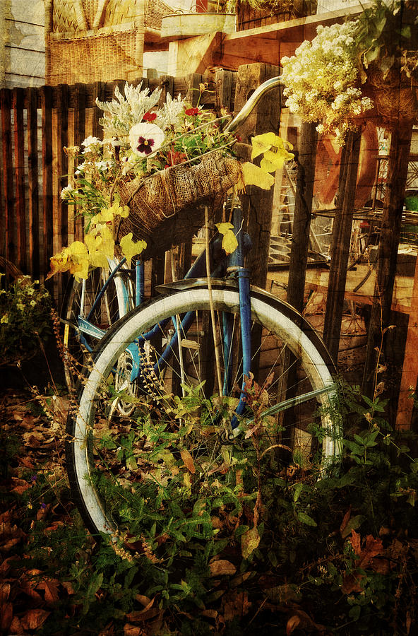 Garden Bicycle Photograph by Ken Smith