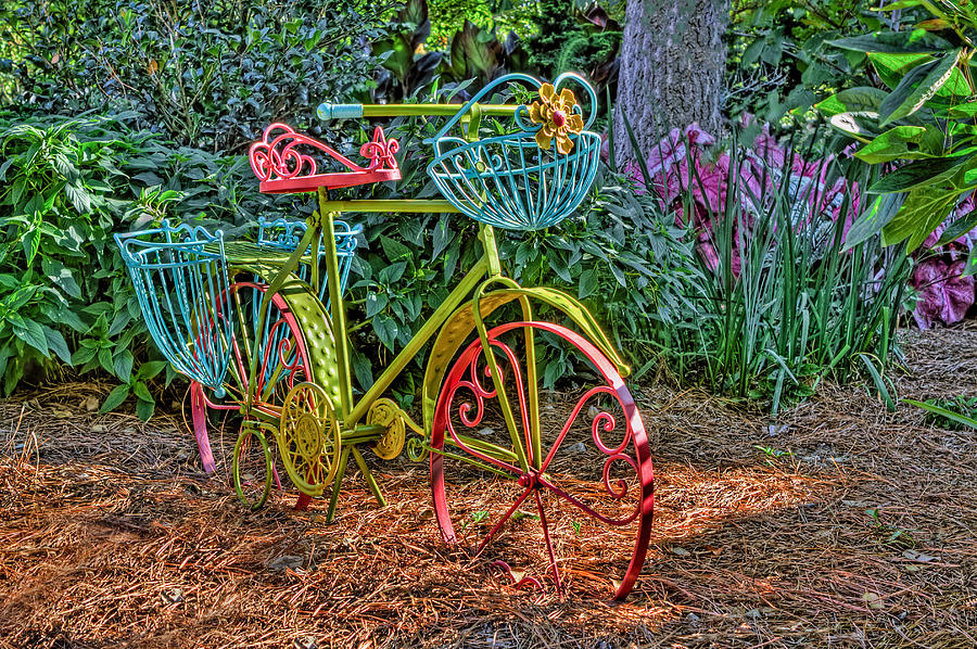 Garden Bike at William and Mary Photograph by Jerry Gammon