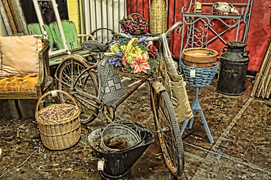 Garden Bike Photograph by Toni Hopper