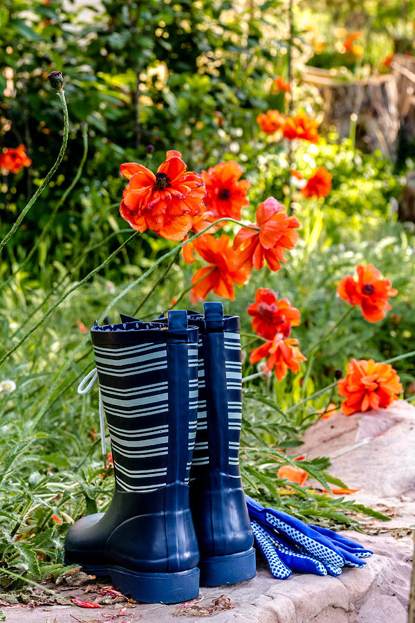 Boot Photograph - Garden Boots by Teri Virbickis