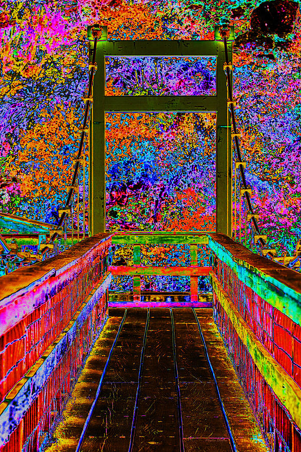 Garden Bridge Pop Art Photograph by Phyllis Denton
