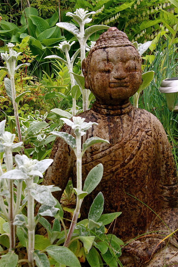 Garden Buddha Photograph by Alicia Kent