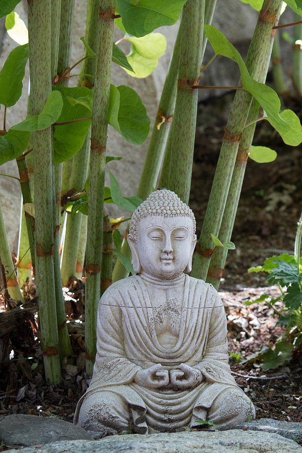 Garden Buddha Photograph by Duomo Photography - Fine Art America