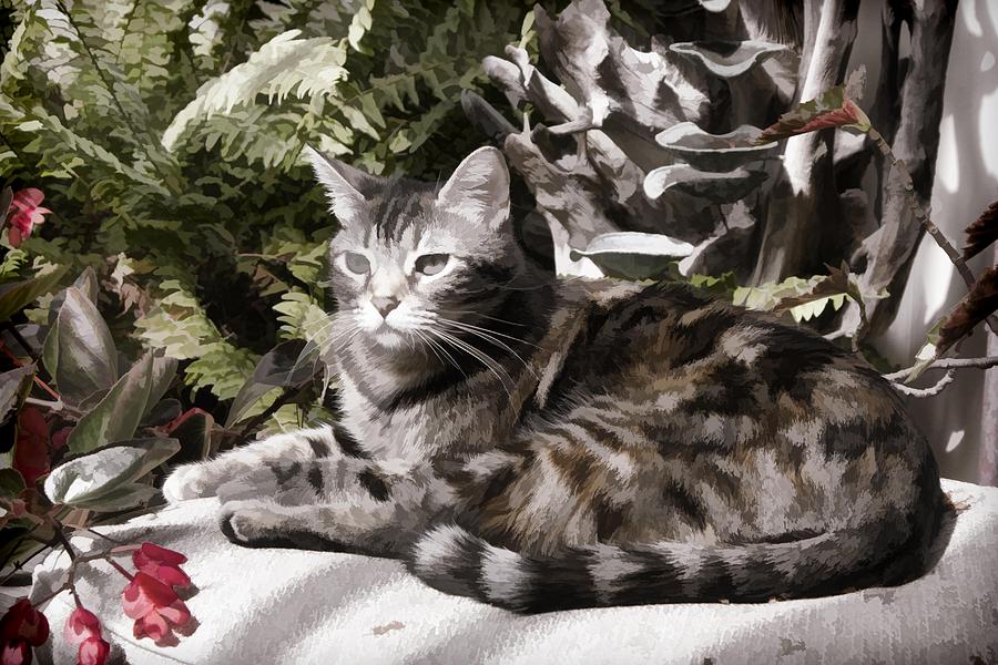 Garden Cat Digital Art by Photographic Art by Russel Ray Photos