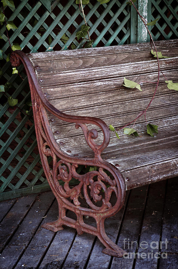 Space Photograph - Garden Chair by Carlos Caetano