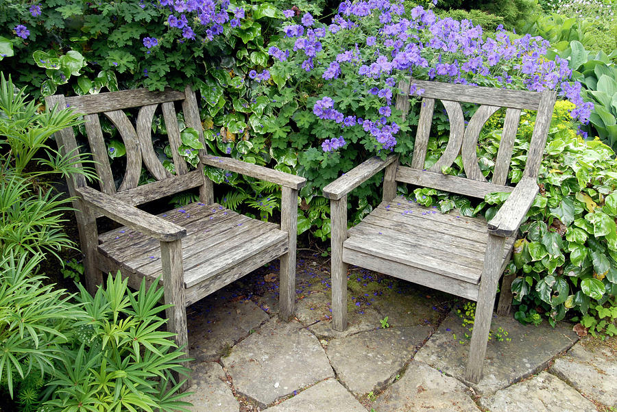 Nature Photograph - Garden Chairs by Bide-a-wee/simon Fraser/science Photo Library