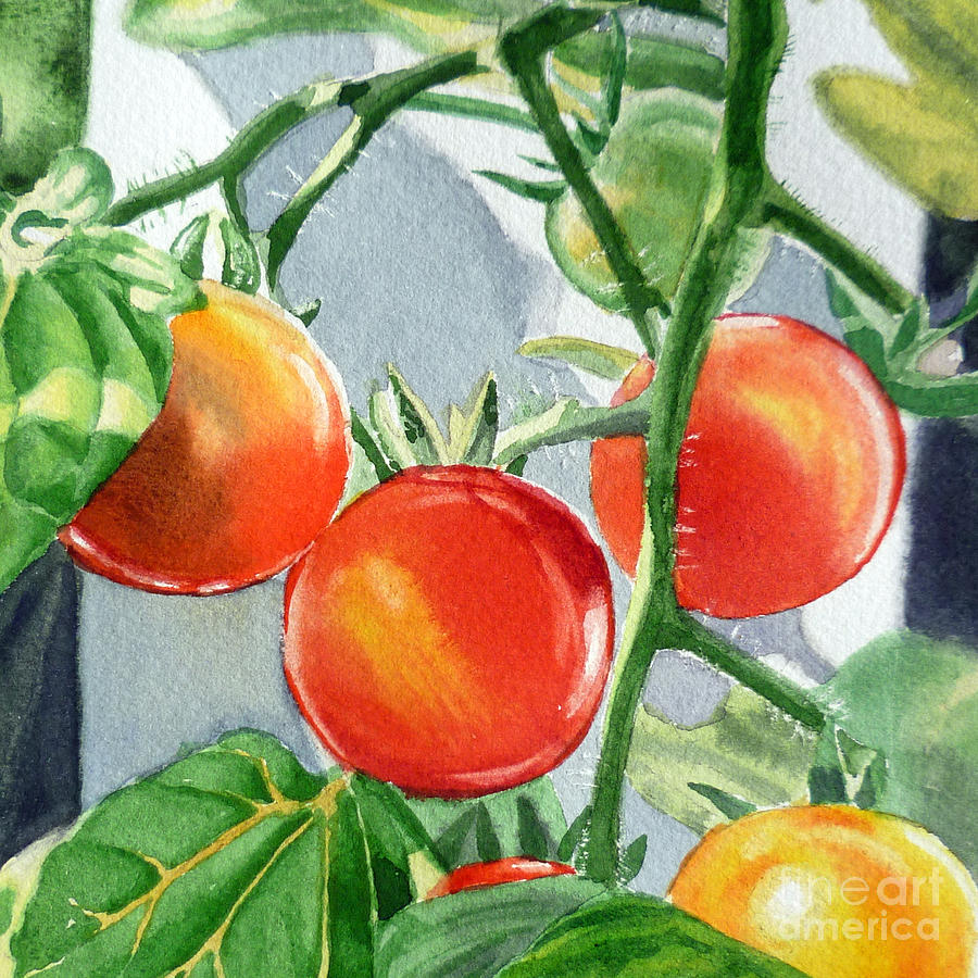 Garden Cherry Tomatoes  Painting by Irina Sztukowski