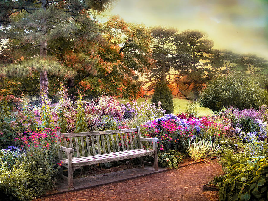 Garden Delight Photograph by Jessica Jenney