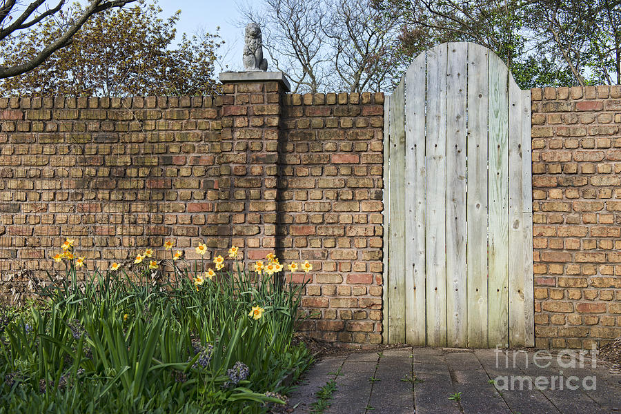 Garden Door Photograph by David Arment
