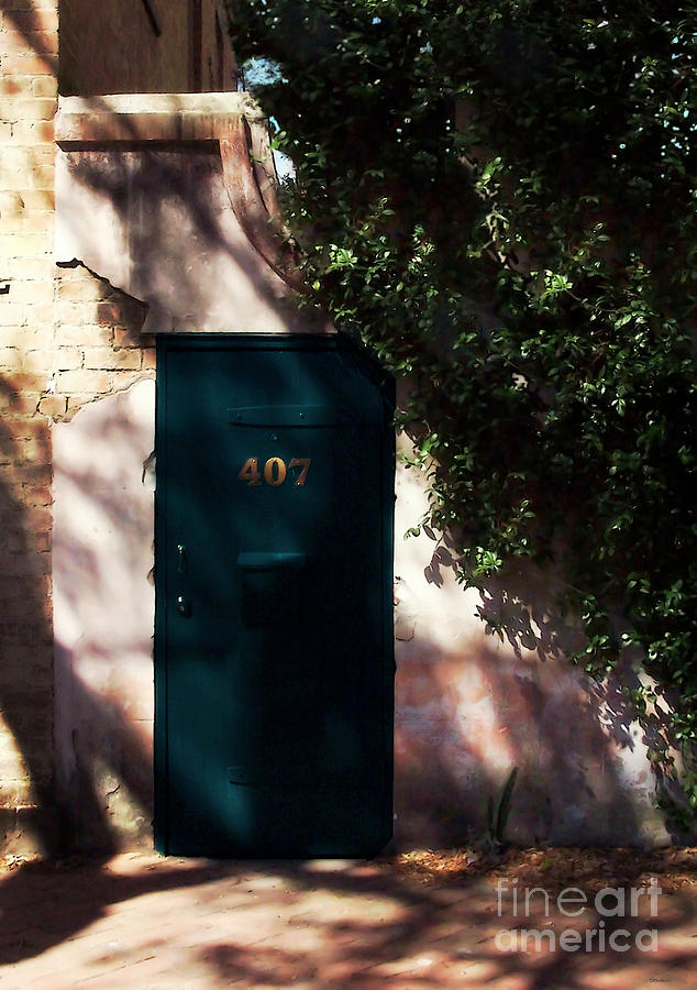 Garden Door Photograph by Deborah Smith