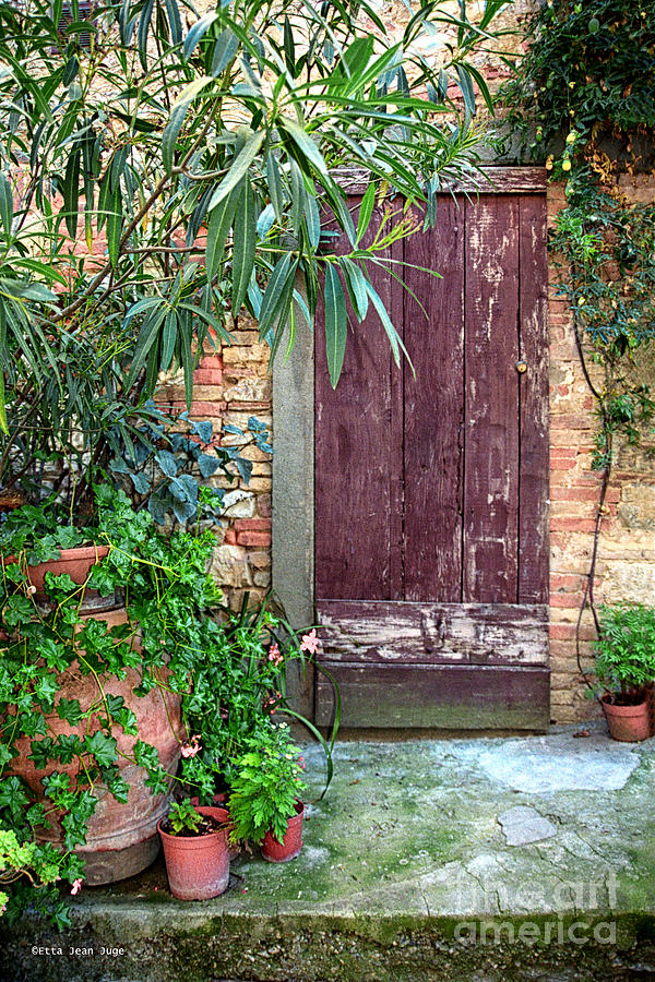 Garden Door Photograph by Etta Jean Juge