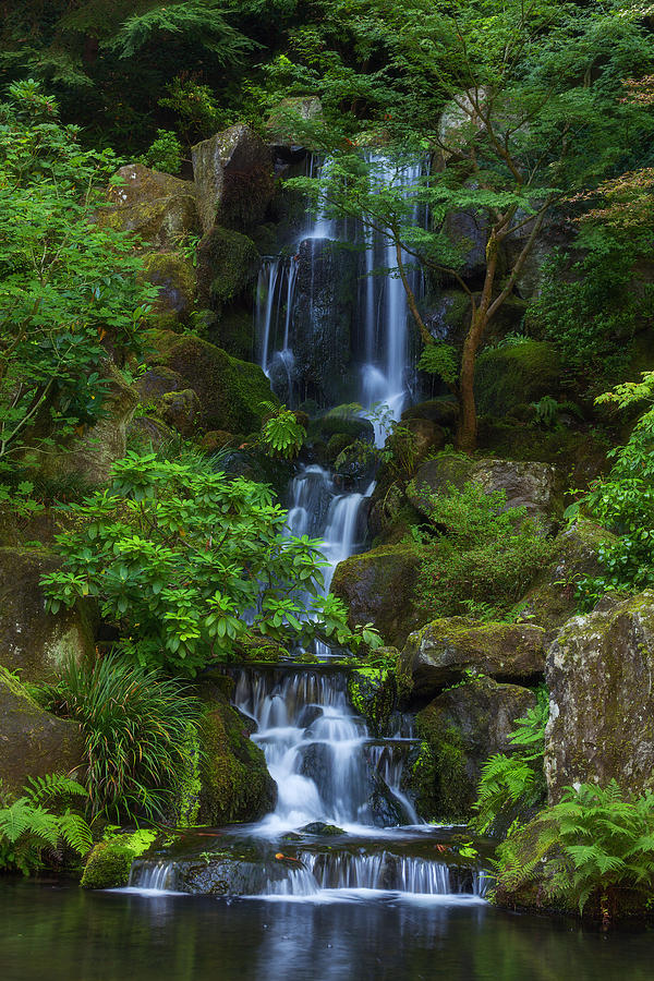 Portland Photograph - Garden Falls by Darren White