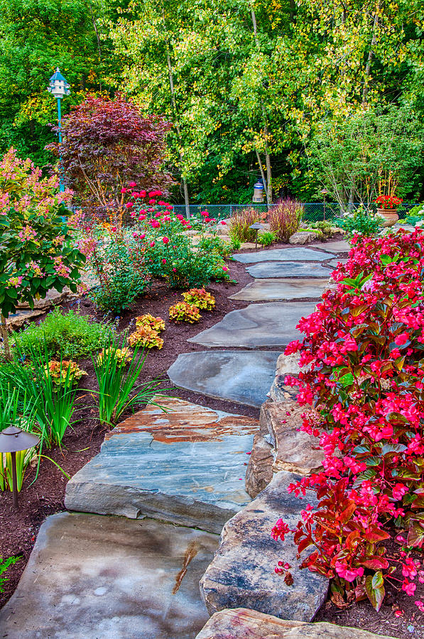 One Step Foward To The Flower Path Garden Floral Path Photograph by Gene Sherrill