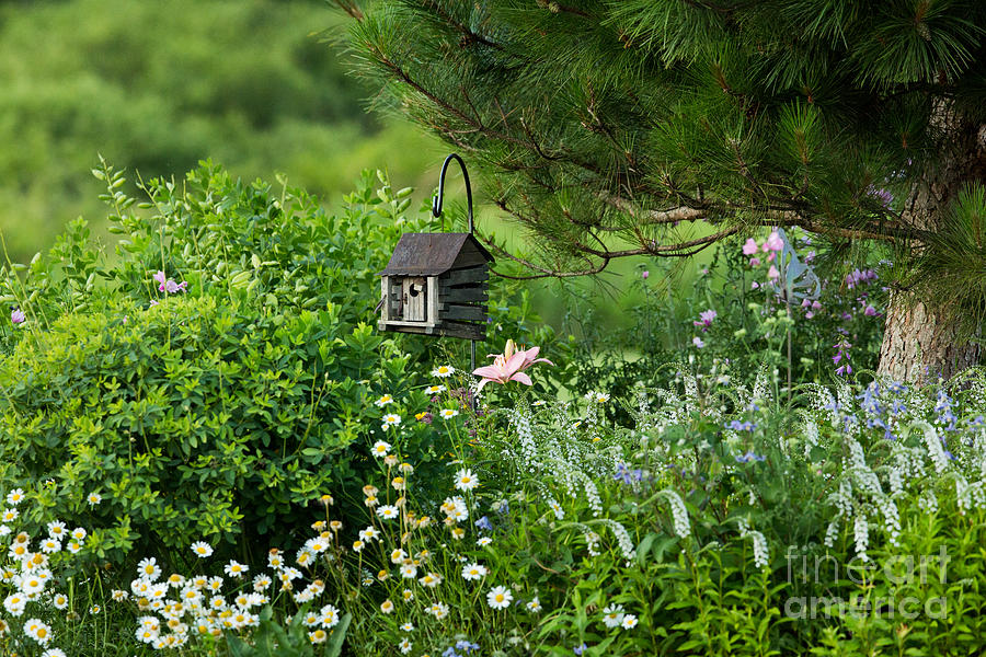 Garden Flowers And Ornamental Bird House Photograph by Linda Freshwaters Arndt