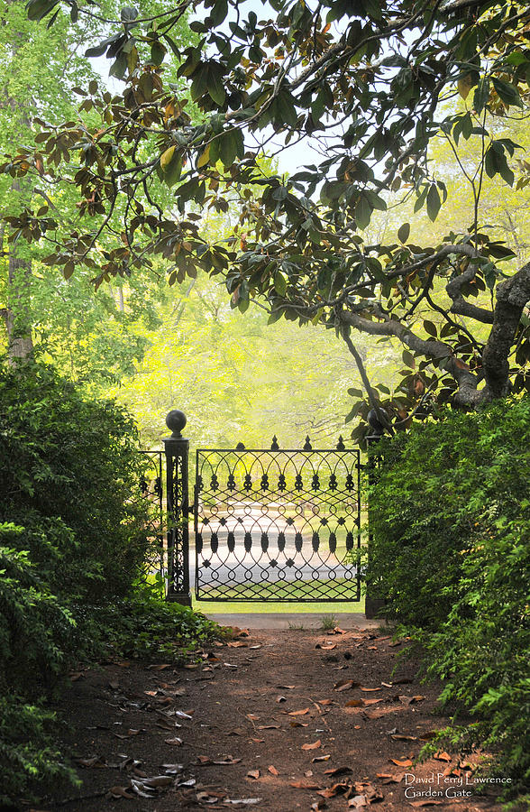 Tree Photograph - Garden Gate,South Carolina by Travel Photographer David Perry Lawrence by David Perry Lawrence