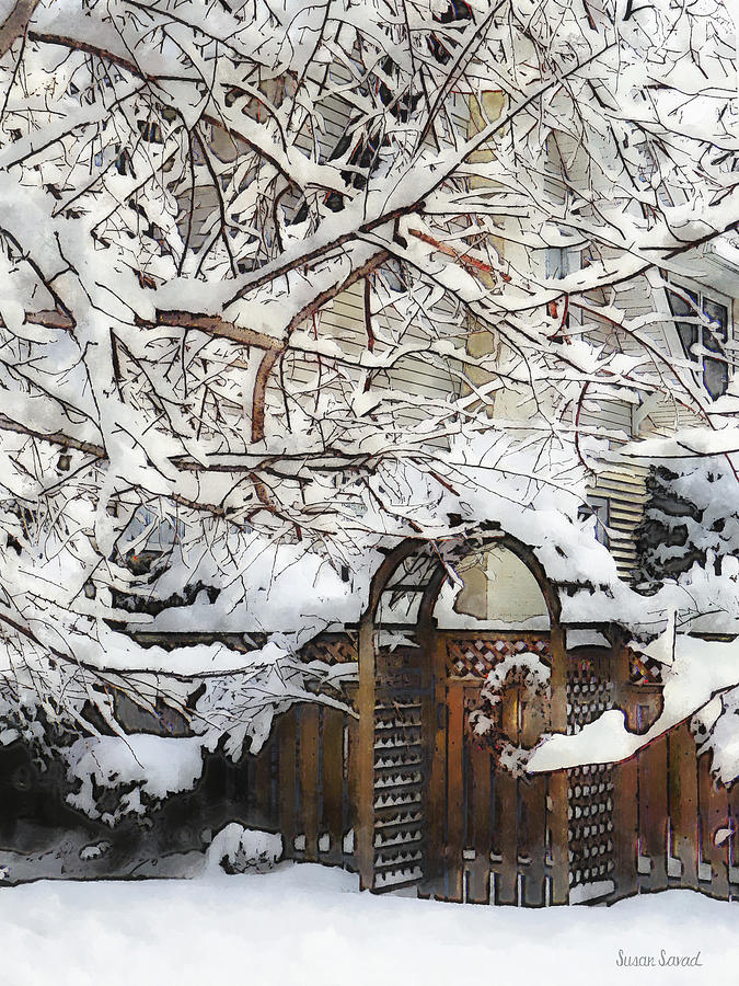 Garden Gate in Winter Photograph by Susan Savad