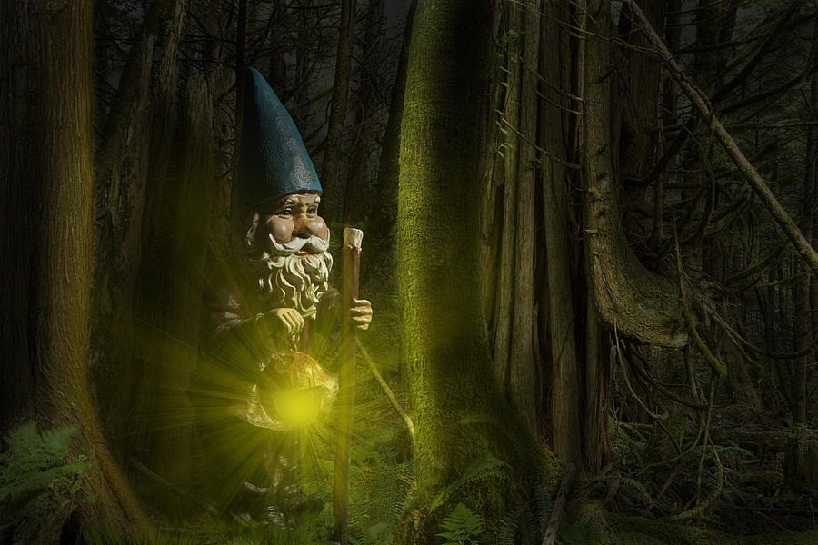Garden Gnome traveling through the Forest at Night Photograph by Randall Nyhof