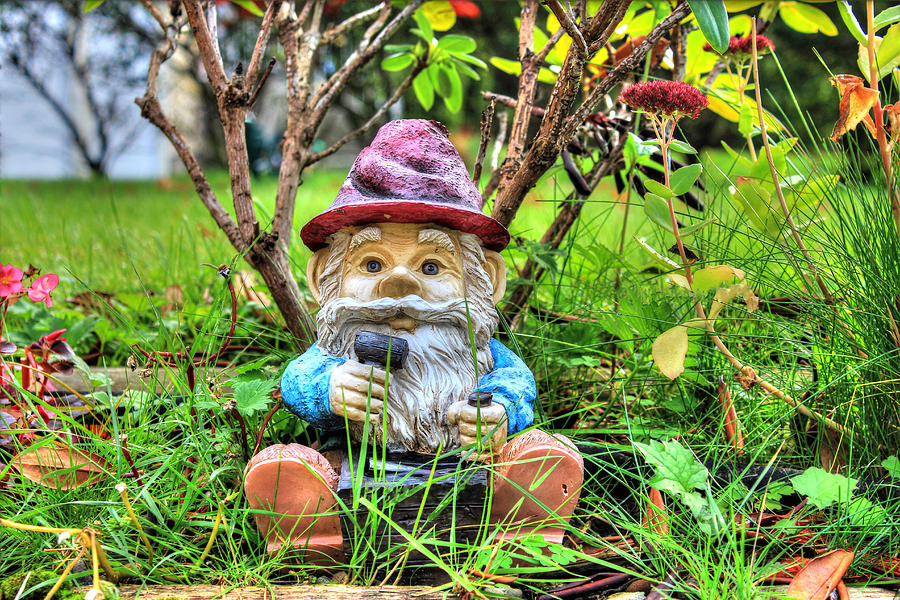 Garden gnome under a bush Photograph by Eti Reid