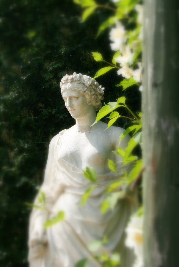 Garden Goddess Photograph by Sarah Yost - Fine Art America