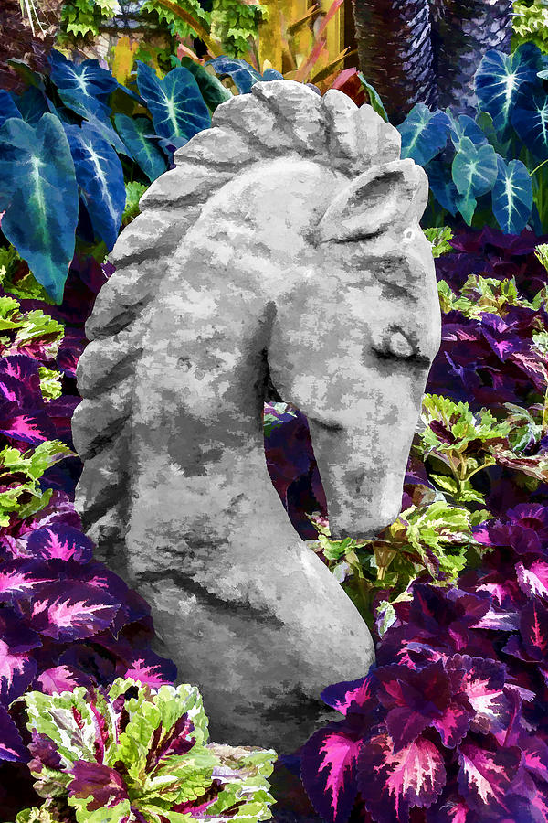 Garden Horse Digital Art by Photographic Art by Russel Ray Photos