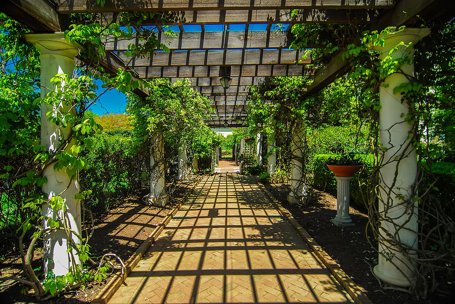 Garden Lattice Walkway With Stone Pavers And Vine Flowers Throug Photograph